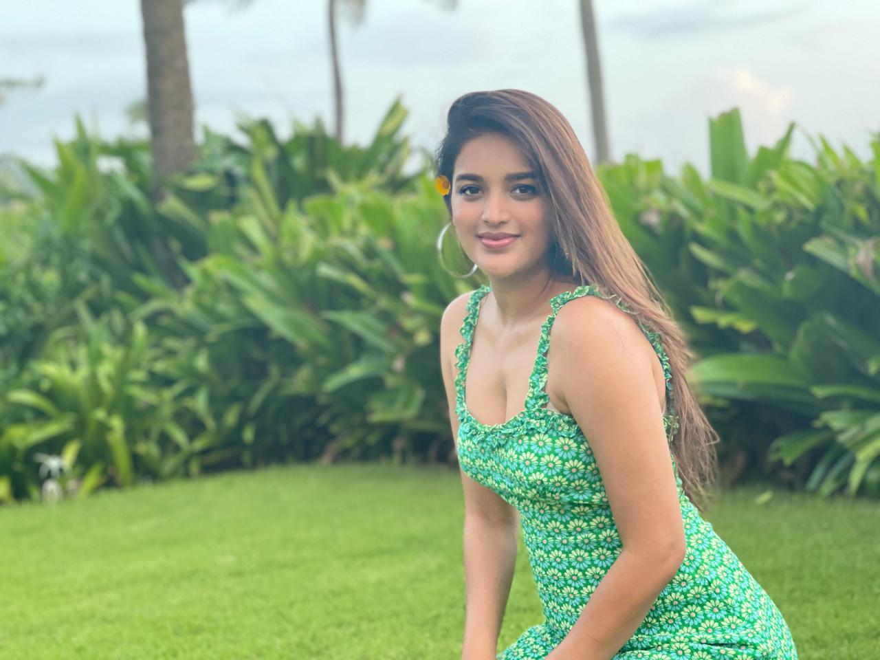 Actor Nidhhi Agerwal Images!