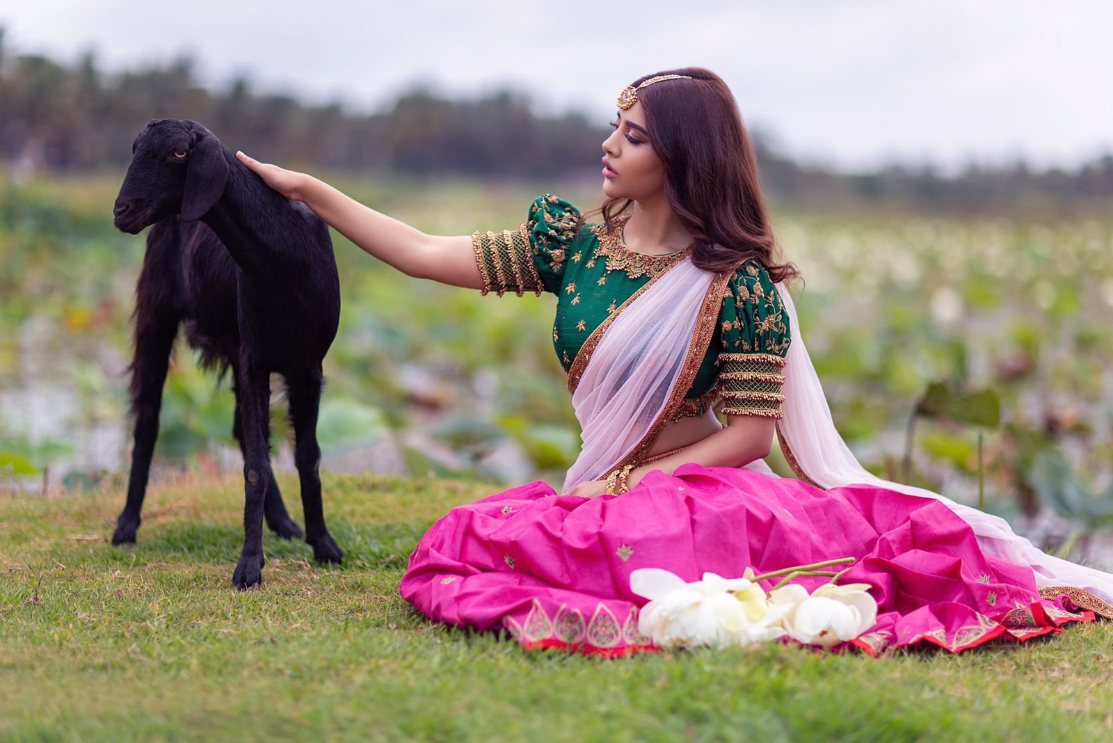 Actor Nabha Natesh Images!