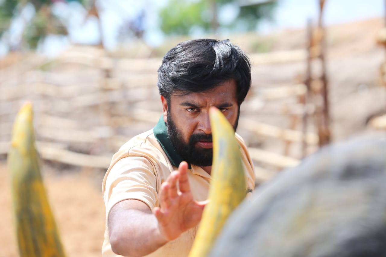 நவ-25ல் வெளியாகும் சசிகுமாரின் ‘காரி’