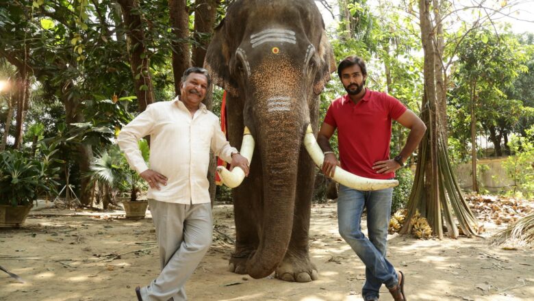 ராஜபீமா _ விமர்சனம்