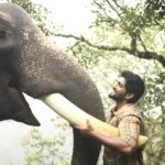 கும்கி 2 _ விமர்சனம்